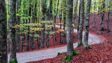 L Incanto Del Foliage Nel Lazio 5 Luoghi Da Non Perdere