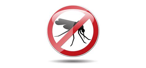 Effective Mosquito Prevention Tips - Top Rated Pest Control in Atlanta ...