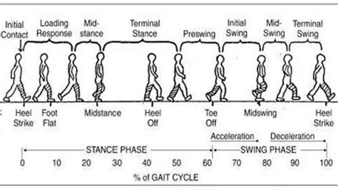 Gait Assessment