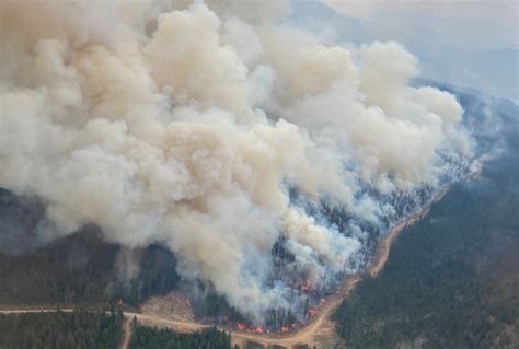 B C Wildfire Crews Successfully Fight Wildfire Burning Near Okanagan Falls With Fire Infonews