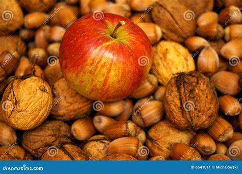 Apple And Nuts Stock Image Image Of Apple Natural Fruit 6541811