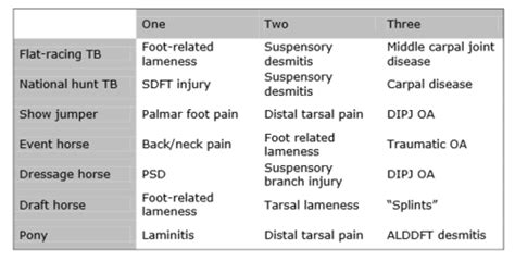 Equine Lameness And Ortho Wk Flashcards Quizlet