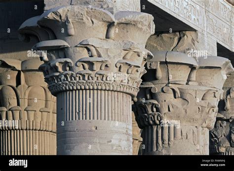 Columnas en forma de papiro al templo de Kom Ombo Egipto Fotografía de