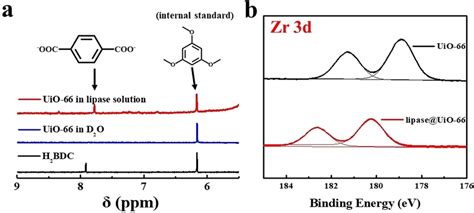 Investigation Of The Immobilization Mechanism Of Lipase Uio Via Nmr