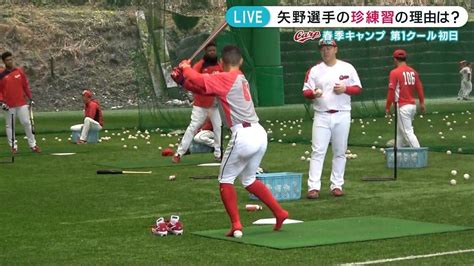 矢野雅哉スパイクを脱いで打撃練習の理由はヤクルト・村上からのアドバイス