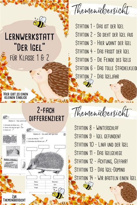 Lernwerkstatt Der Igel Unterrichtsmaterial F R Klasse Und