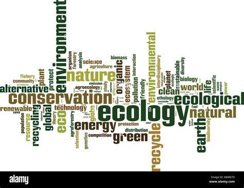 Ecology Word Cloud Concept Vector Illustration Stock Vector Image