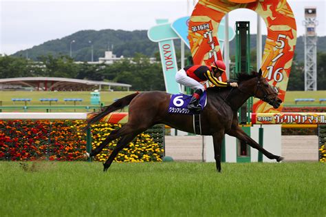 ヴィクトリアマイル2024 過去10年の傾向データ｜g1特集｜競馬予想・競馬情報ならjra Van