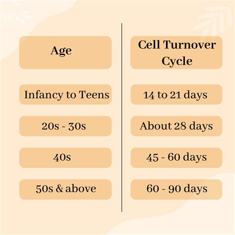 What Is Skin Cell Turnover And Why Is It Important