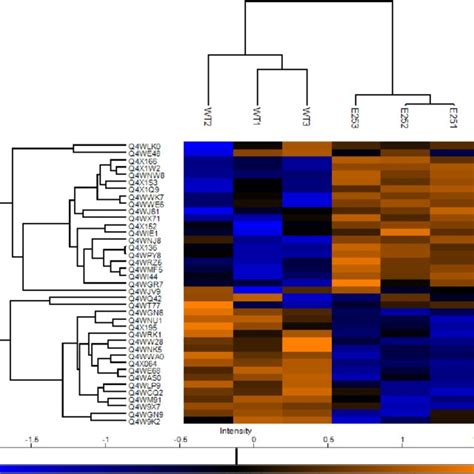 Heat Map Showing Protein Clustering Between Control And Passaged A Download Scientific Diagram