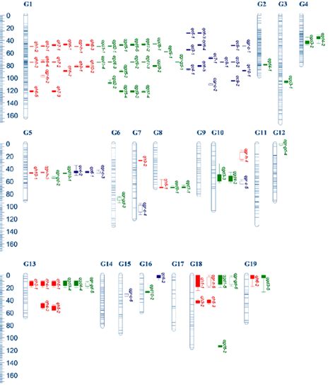 Qtl Mapping On Genetic Linkage Groups For Growth Traits In Eucommia