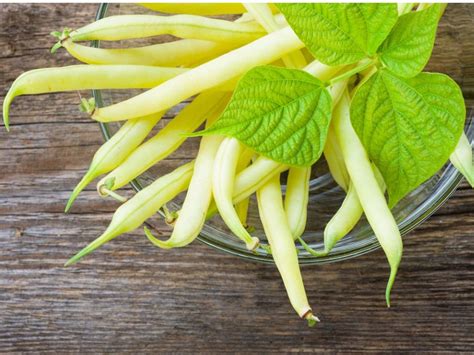 Yellow Wax Bean Growing How To Plant Climbing Yellow Wax Beans