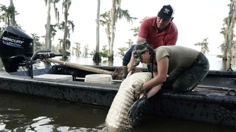 Watch Swamp People Pickle S Holiday S14 E10 Tv Shows Directv