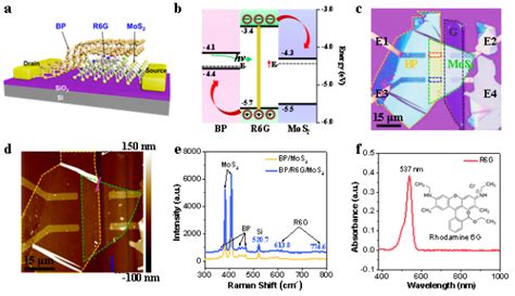 Nano Res 器件 │深圳大学张晗教授、曾昱嘉教授和广州大学郭志男教授：层间敏化范德华异质结光电探测器件研究 X Mol资讯