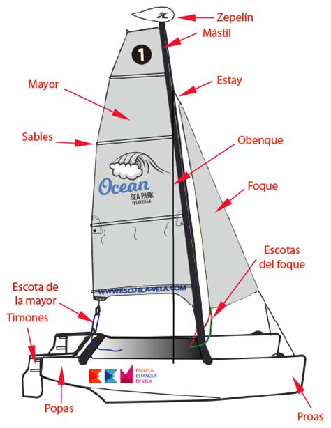 Partes De Nuestro Catamar N Copy Escuela De Vela