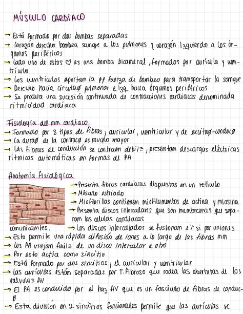 SOLUTION Fisiolog A Cardiaca Guyton Studypool