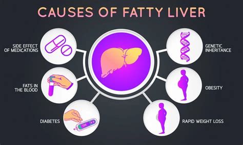 Can Fatty Liver Cause Inflammation In The Body Fitpaa