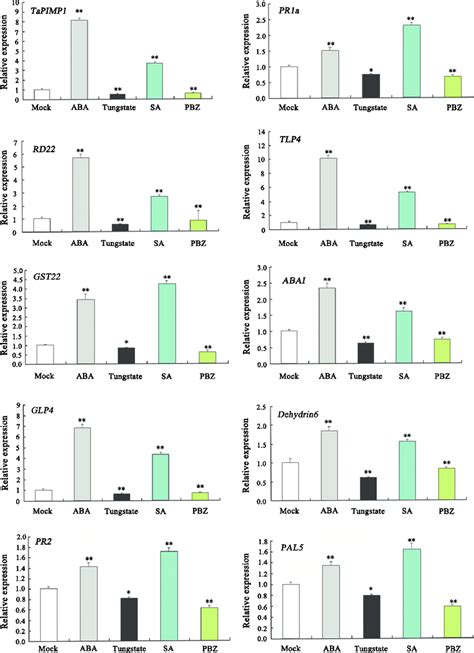 Real Time Quantitative Pcr Qpcr Analysis On The Transcription Of