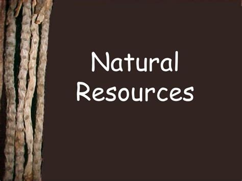 Natural Resources Ppt