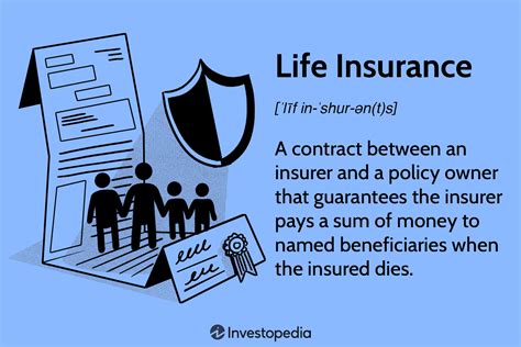 What Are Types Of Term Life Insurance Leia Aqui What Are The Three