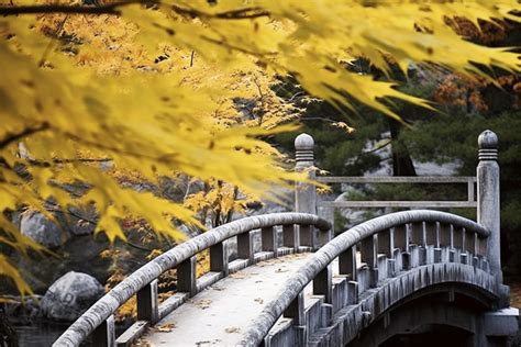 An Autumn Bridge In An Outdoor Scene Background Beautiful Picture Of Fall Season Background