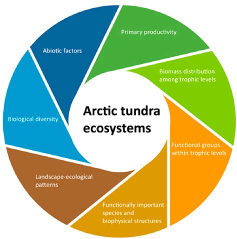 Arctic Tundra Abiotic Factors