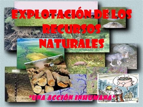 Explotación De Los Recursos Naturales