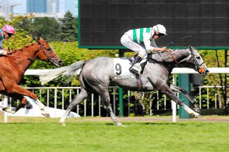 【凱旋門賞】アルピニスタ 進化が止まらない5歳牝馬 破竹の7連勝でgⅠ5連勝中競馬・レースデイリースポーツ Online