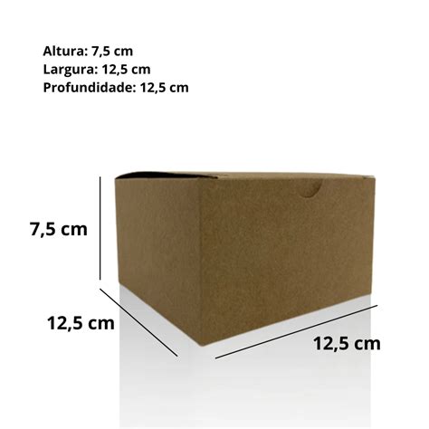 Caixa Box Hamb Rguer Kraft Delivery Kit Unidades Ideal Pack