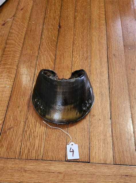 Horse Hoof Taxidermy Etsy