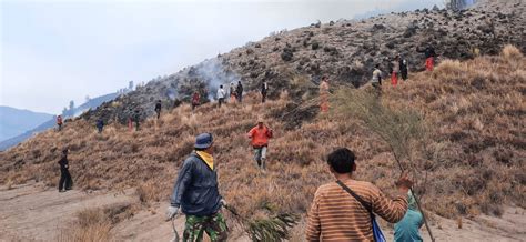 Foto Prewedding Gunakan Flare Sebabkan Kebakaran Di Bukit Teletubbies