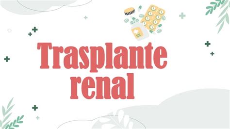 Terapia De La Sustituci N Renal Di Lisis Y Hemodialisis Pdf