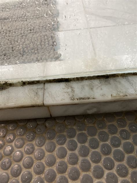 How do I clean this shower mold? : r/CleaningTips