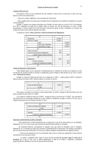 Sistemas De Informacion Contable Ii Pdf