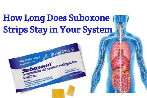 How Long Does Suboxone Strips Stay In Your System Public Health