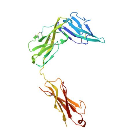 Gene Q01638 Protein IL1RL1 Overview CanSAR Ai