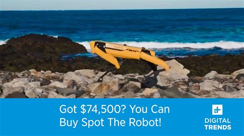 Got 74500 You Can Buy Spot The Robot Dog