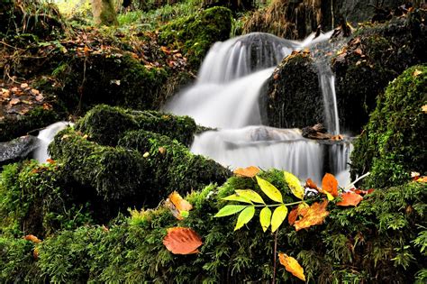 Autumn In Cornwall Tony Armstrong Sly Flickr