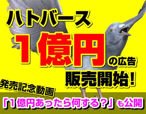 鳩のメタバース「ハトバース」で1億円の広告枠を1枠限定販売開始。ストーリー動画【1億円あったら何する？】も公開：マピオンニュース