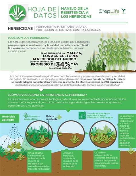 Manejo De La Resistencia De Herbicidas Pdf