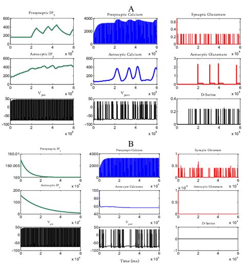 Important variables of a tripartite synapse in the proposed model. A ...