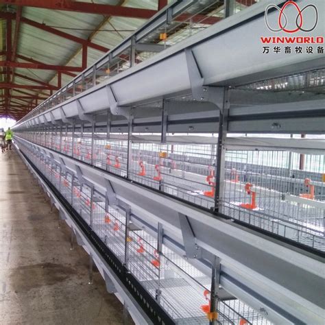 Tanzania Poultry House 4 Tiers H Type Battery Poultry Broiler Cages