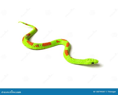 Green snake toy. stock image. Image of animal, concept - 138799307