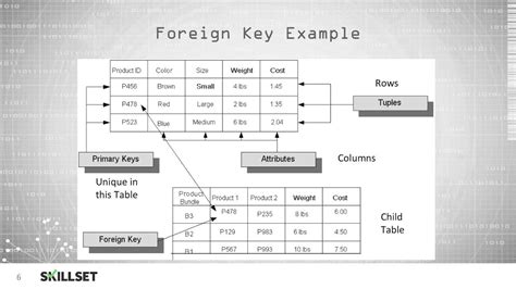 Database Terminology Cissp Free By Youtube