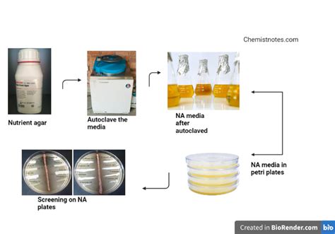 Nutrient Agar Plates Ingredients Online Clearance | www.oceanproperty.co.th