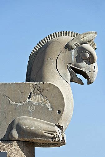 Stone Carved Griffin Homa Bird Capital Persepolis Begun By Darius