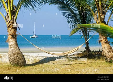 Malaysia Langkawi Island Hammock Hanging Between Palm Trees On Tropical