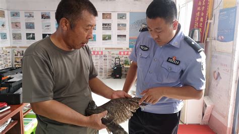 打击非法猎捕野生动物 唐山海港警方不手软唐山新浪新闻