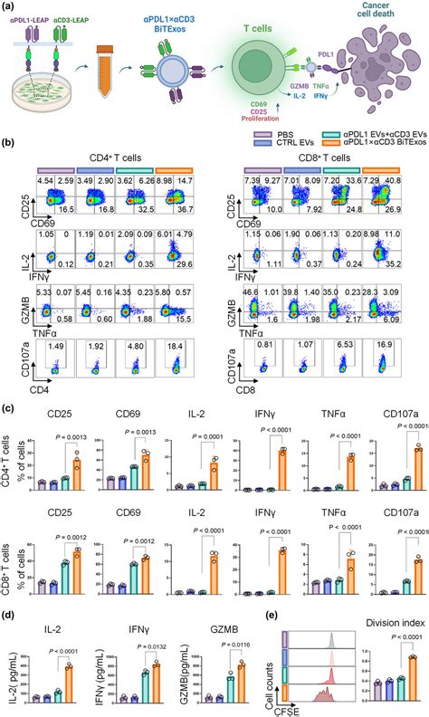 Extracellular Vesicle Surface Display Of αpd‐l1 And αcd3 Antibodies Via