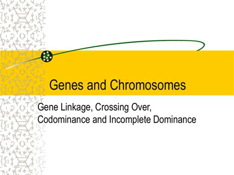 Genes And Chromosomes Ppt